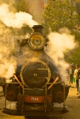 IIP Online Student Photography